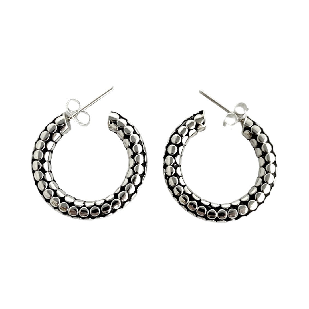 Apple - いわ Sparkling case, For Apple Watch® Series 7, 41mm, Silver Tone